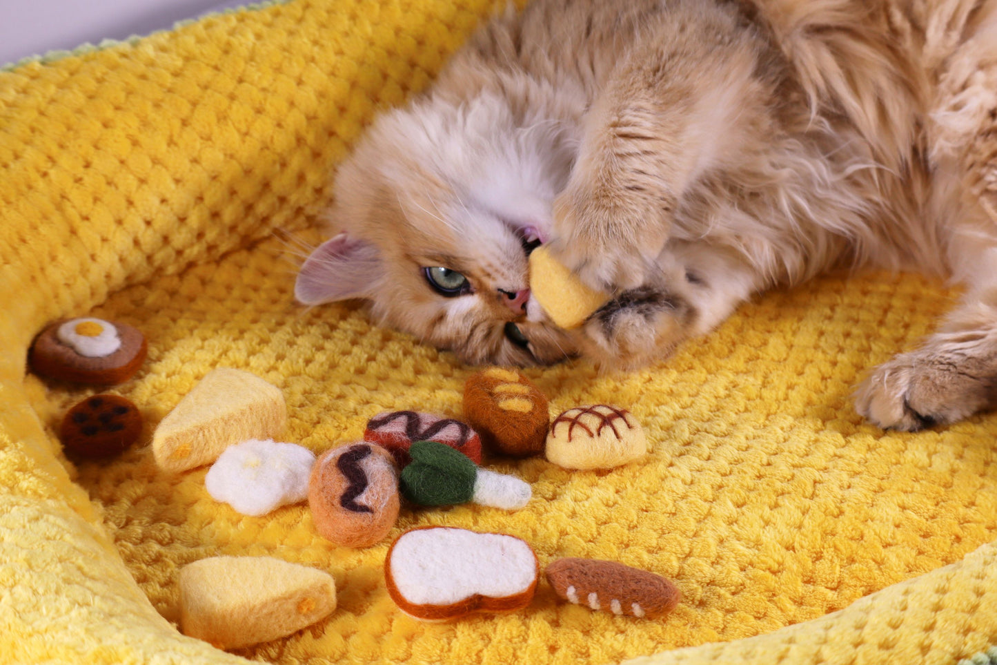 Felted Food-shaped Tin Set
