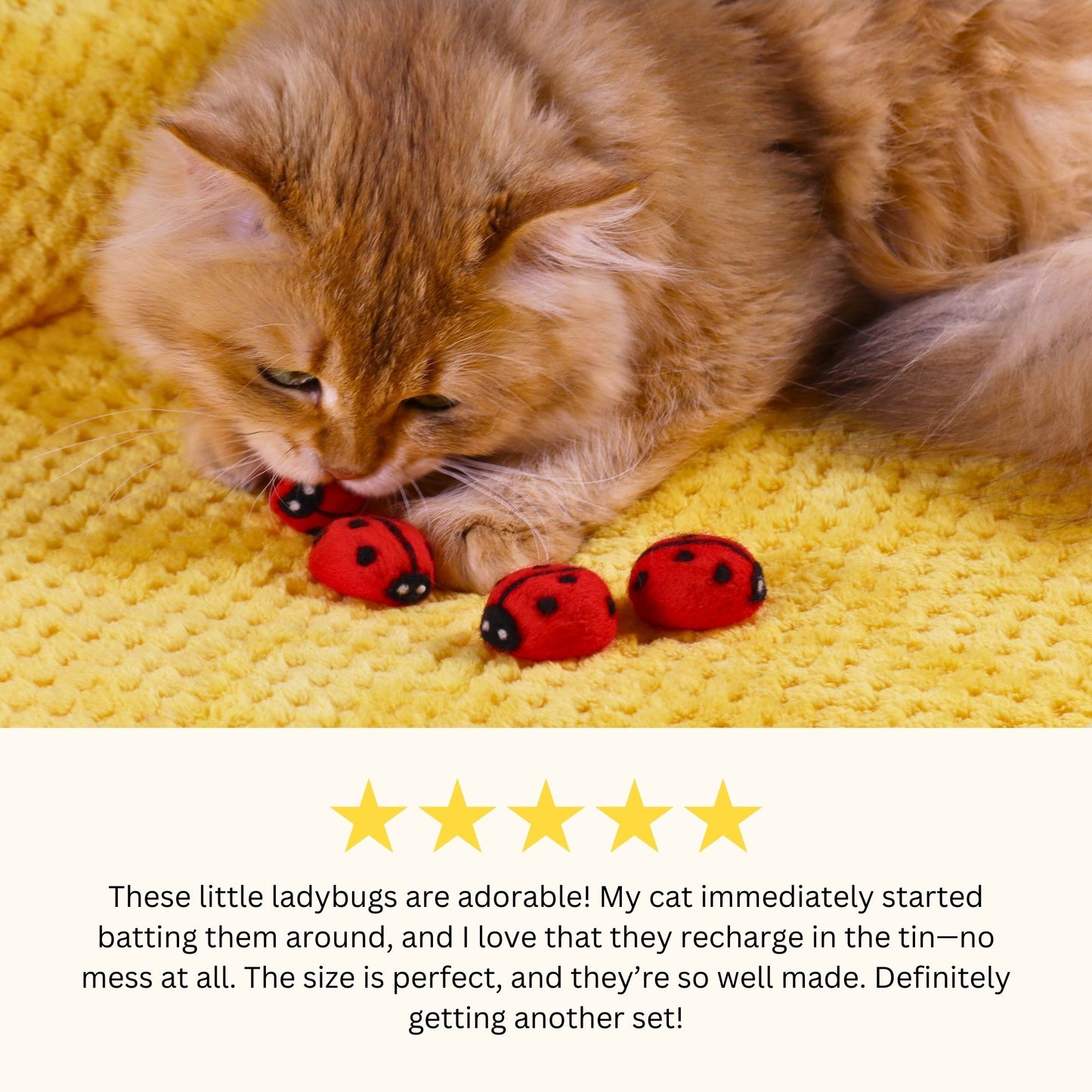 Felted Ladybug Tin Set