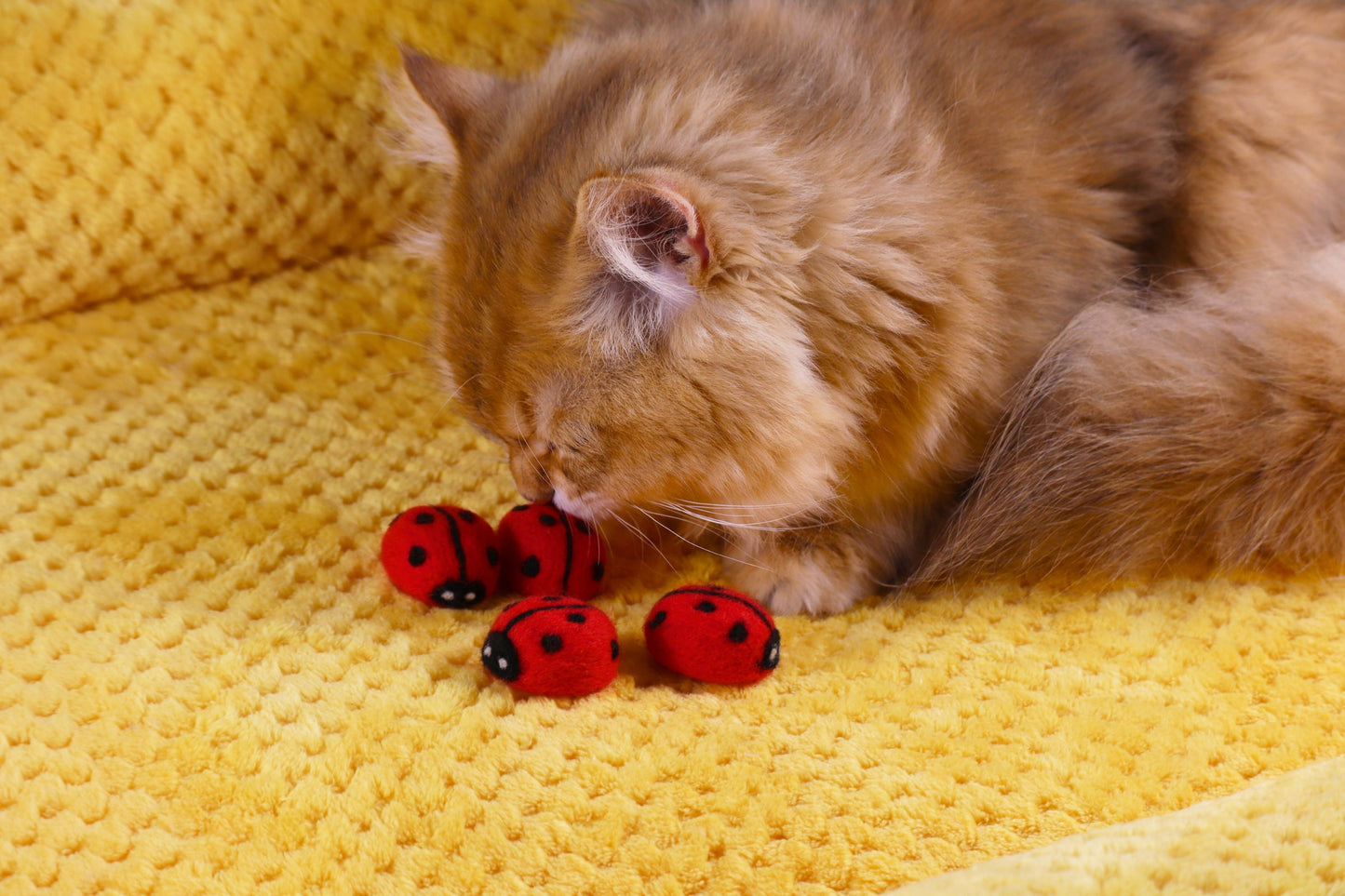 Felted Ladybug Tin Set