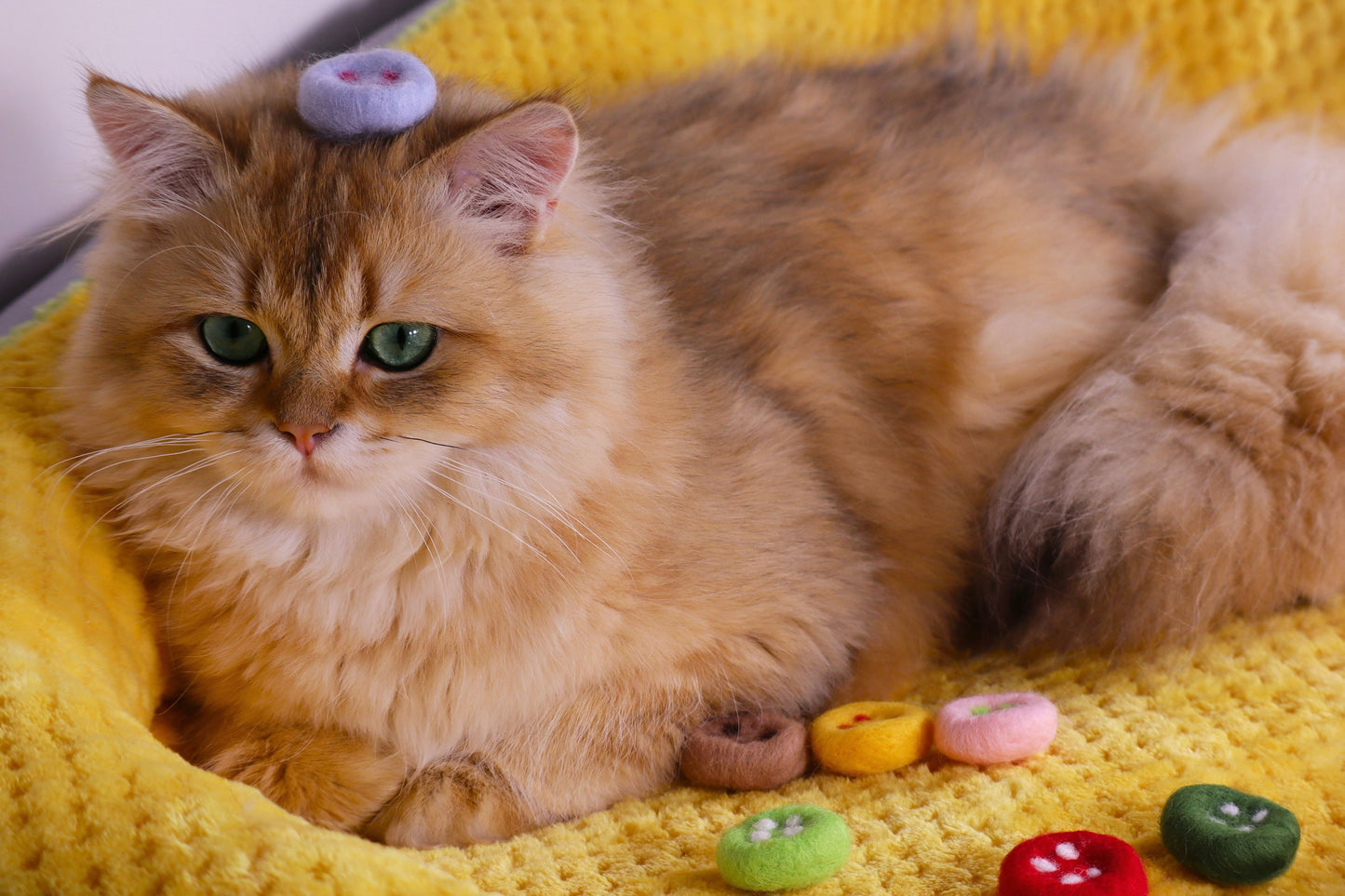 Felted Button Tin Set