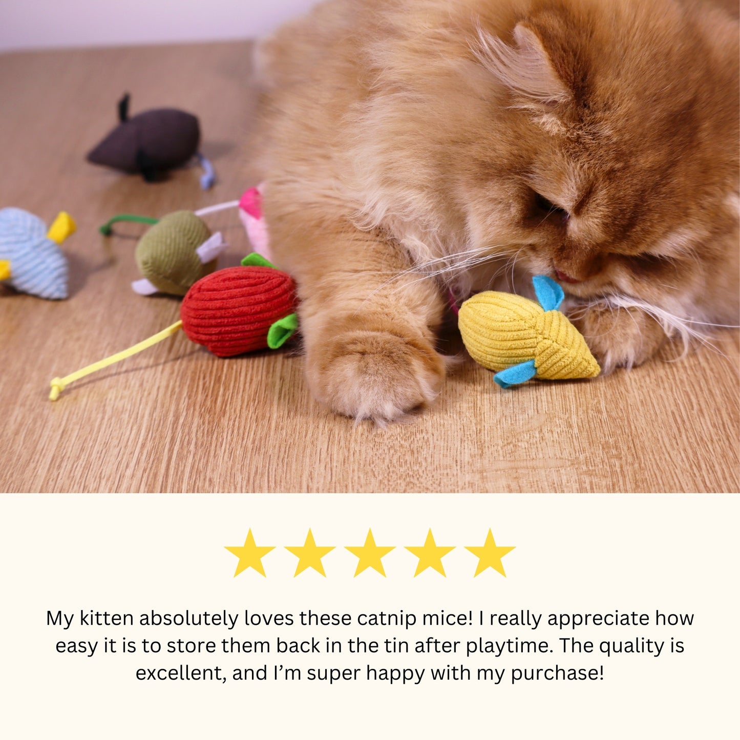 Catnip Mice Toy Set