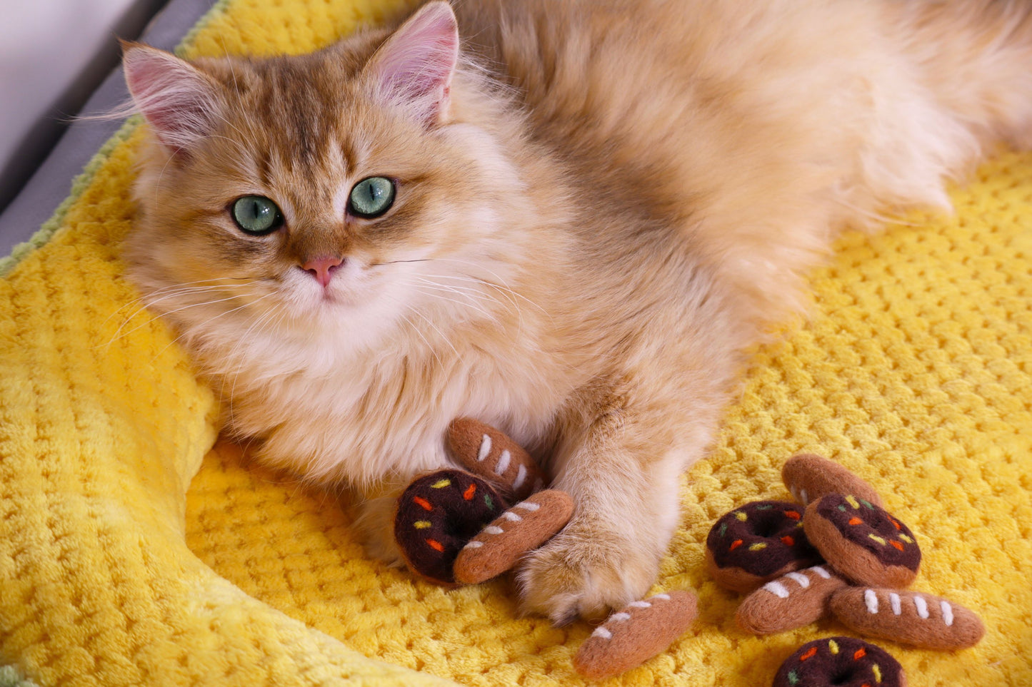 Felted Donut Tin Set