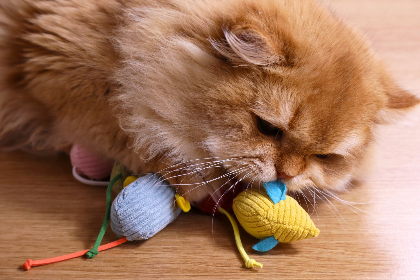 Catnip Mice Toy Set