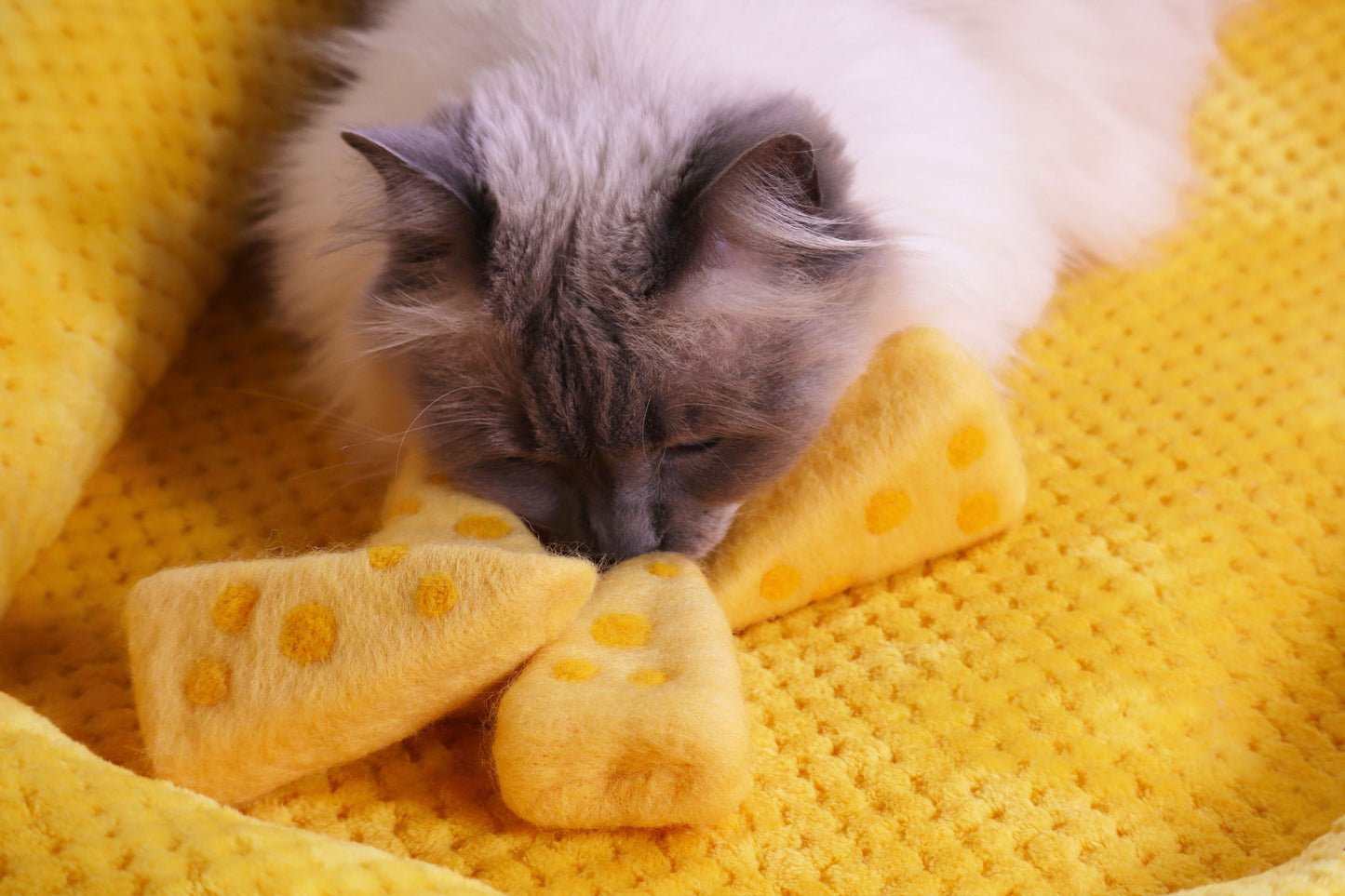 Felted Cheese Kicker