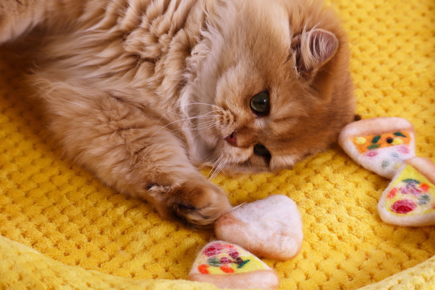 Felted Pizza Tin Set