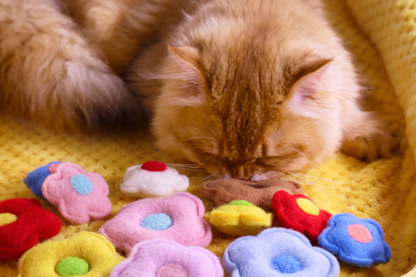 Felted Flower Tin Set
