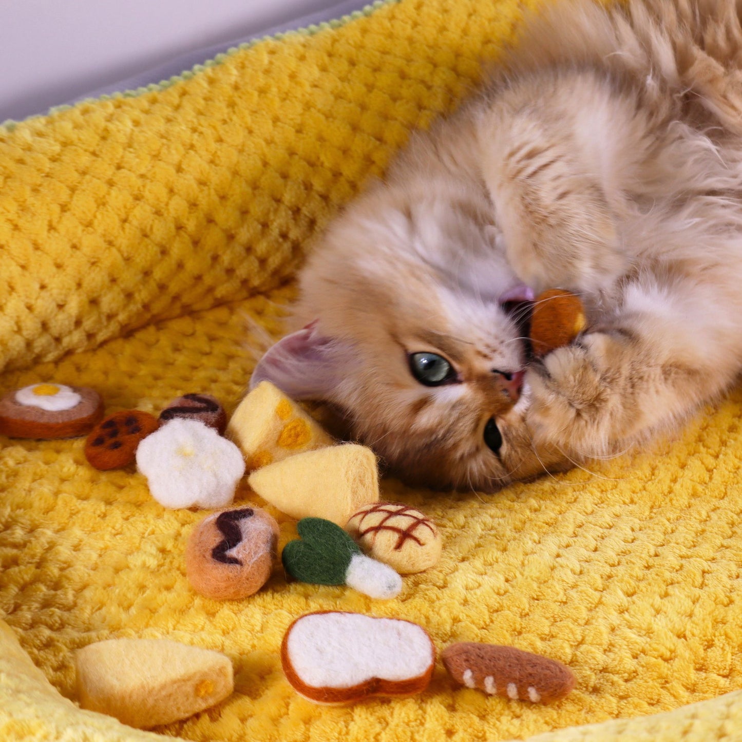 Felted Food-shaped Tin Set