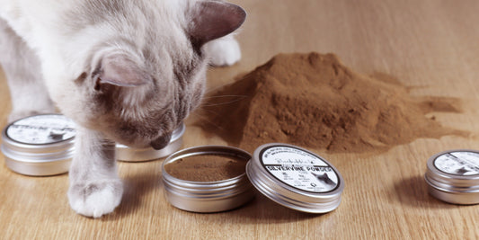 Catnip and silvervine options for cats that do not react to catnip