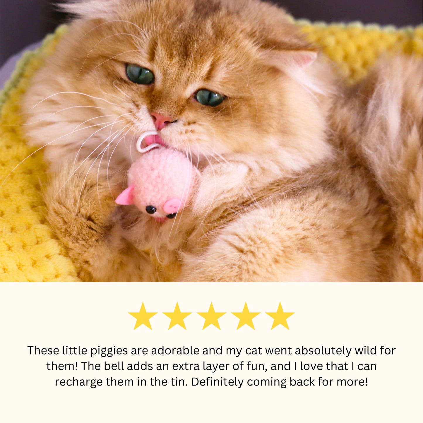 Catnip & Silvervine Infused Plush Piggy Cat Toys – Fun and Playful Sensory Fun!