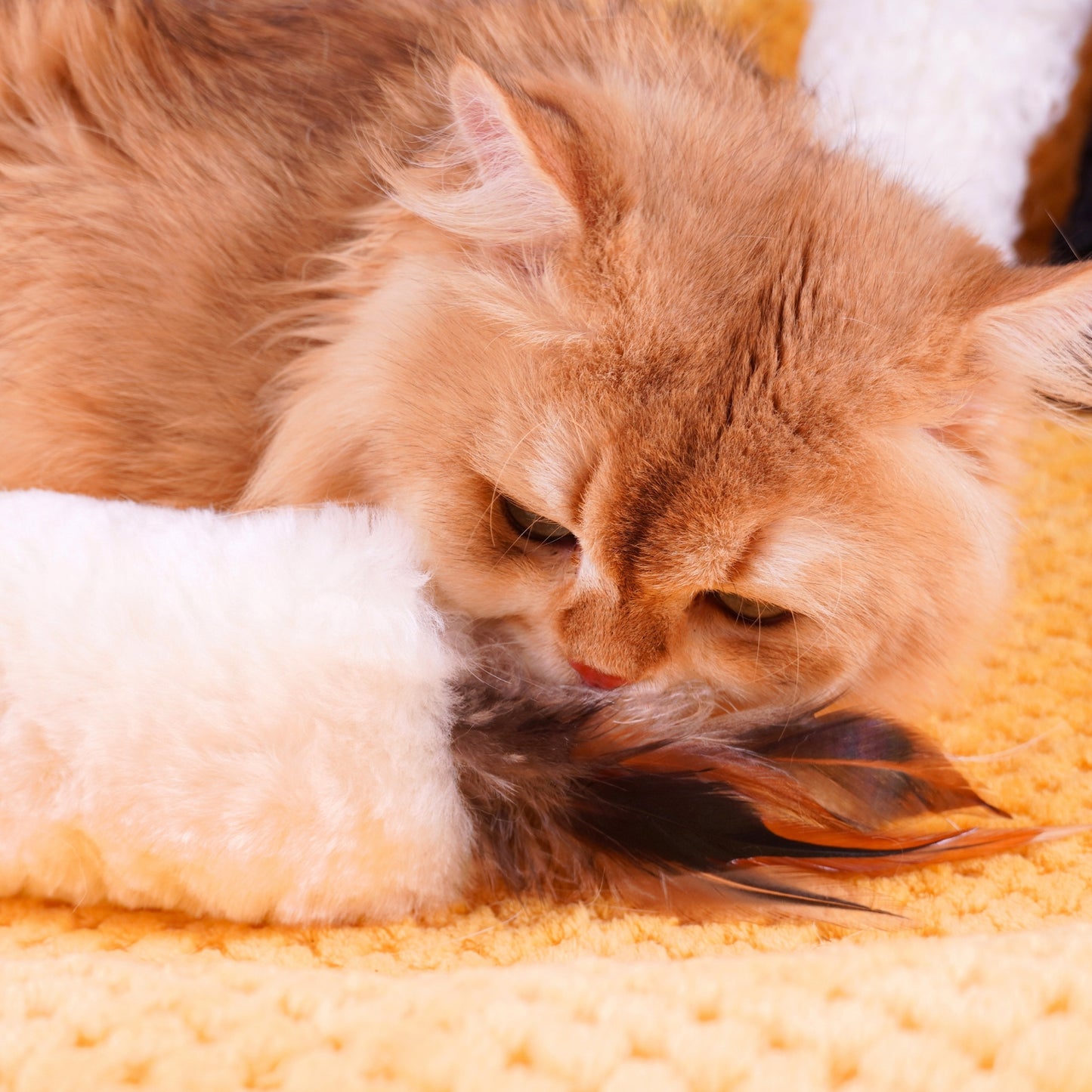 Sheepskin Wool Cat Kicker Toys - With Natural Pheasant Feathers