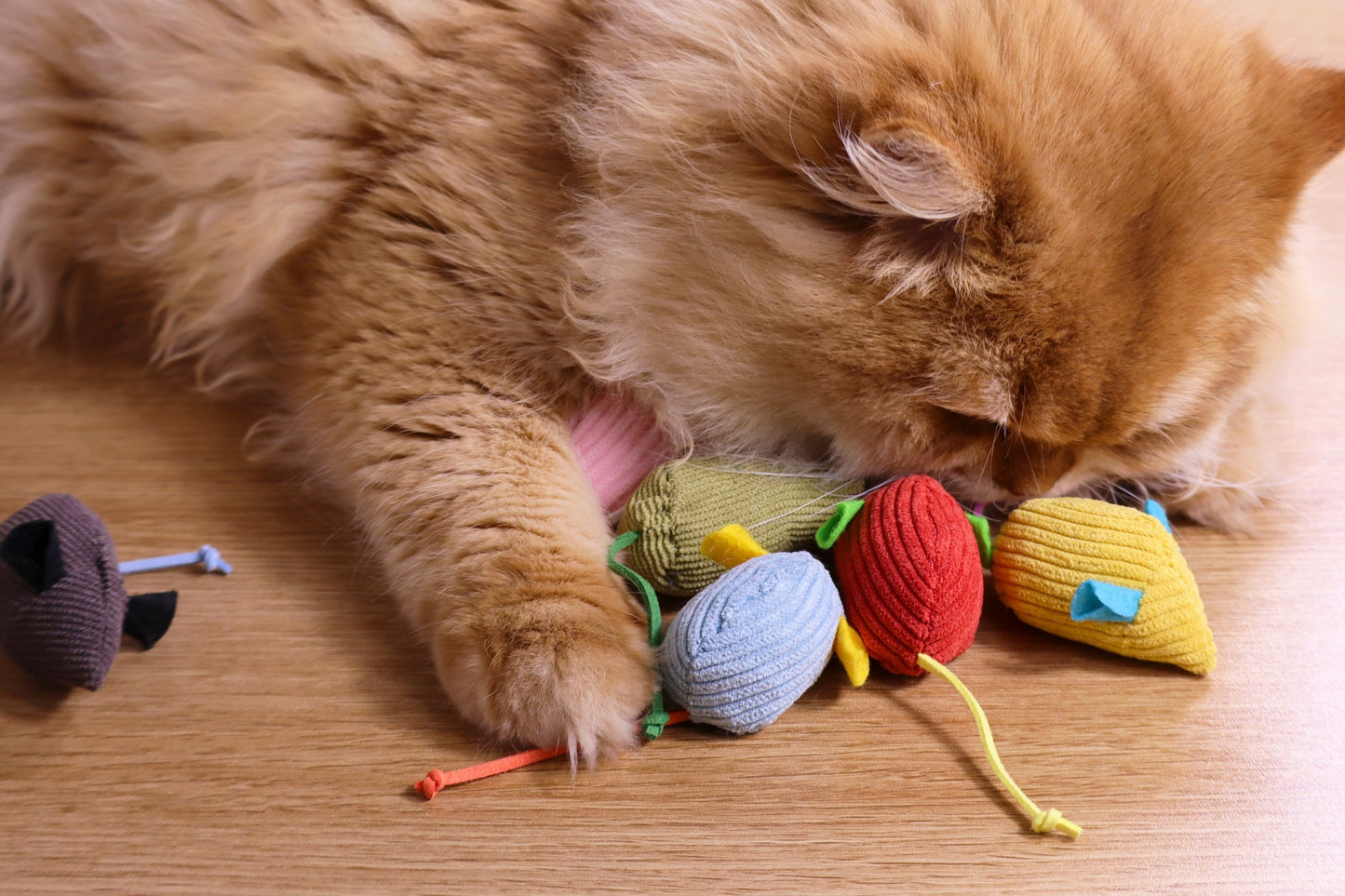 Catnip Mice Toy Set