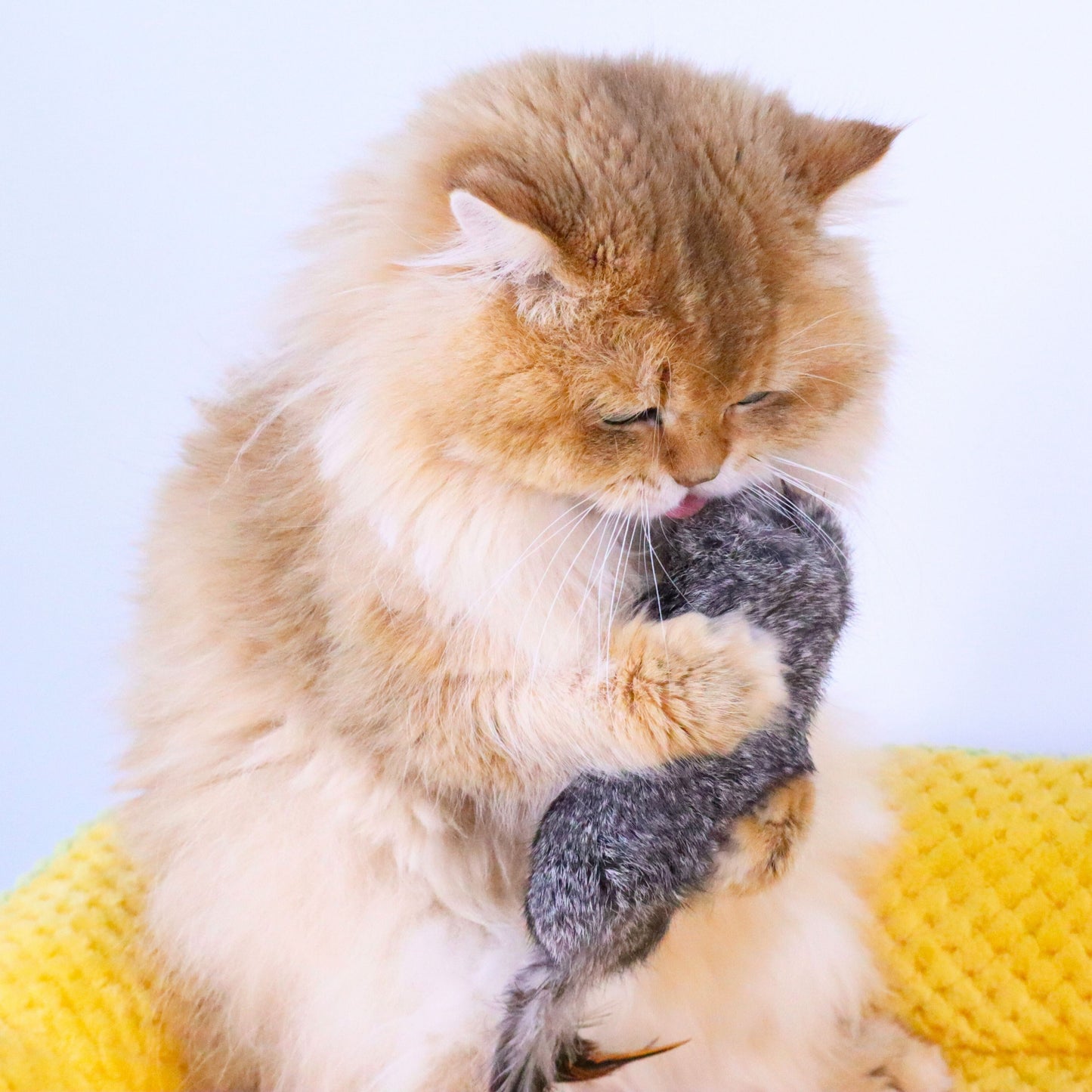 Rabbit Fur Cat Kicker Toys - With Natural Pheasant Feathers