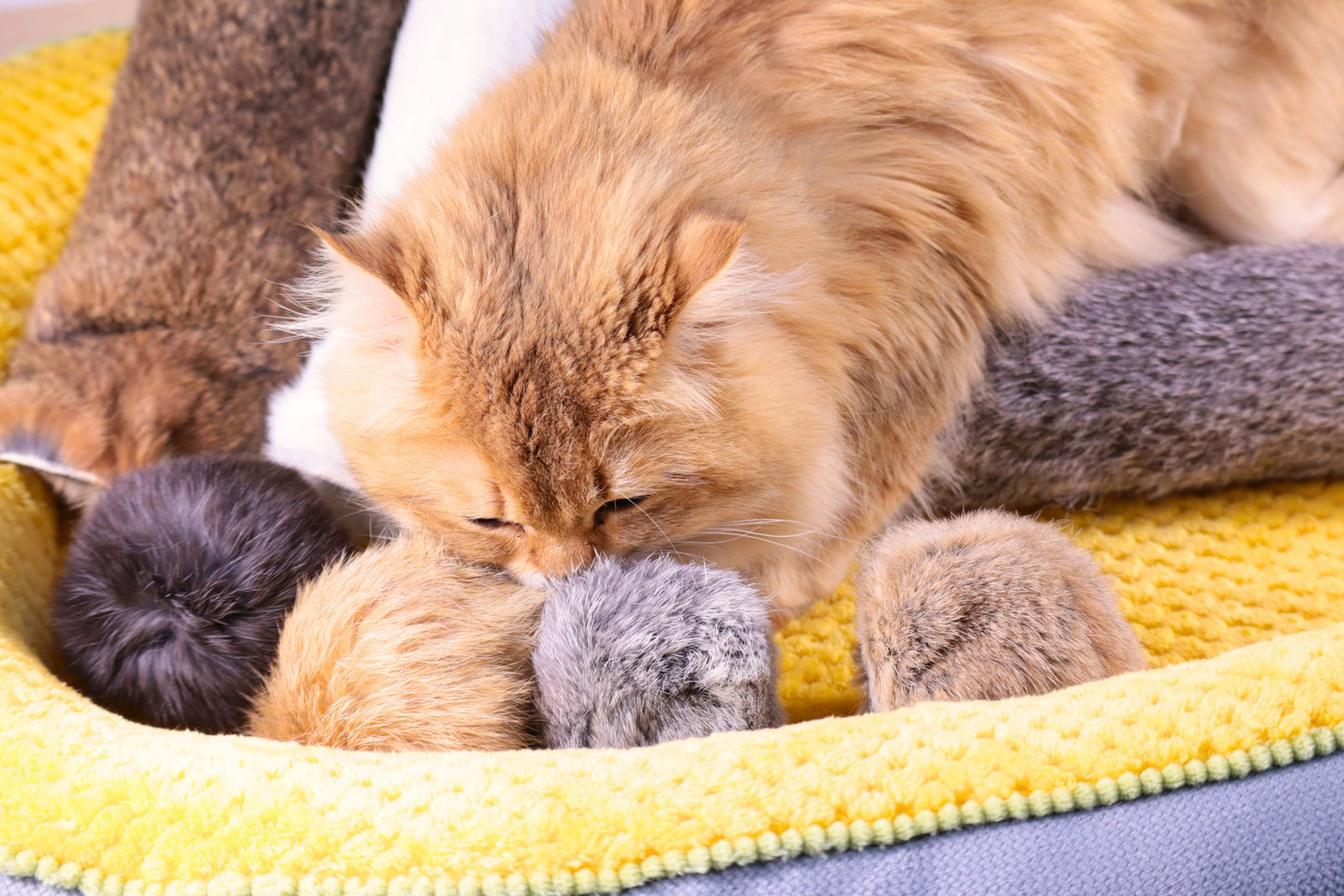 Jumbo Rabbit Fur Kicker Toy Set