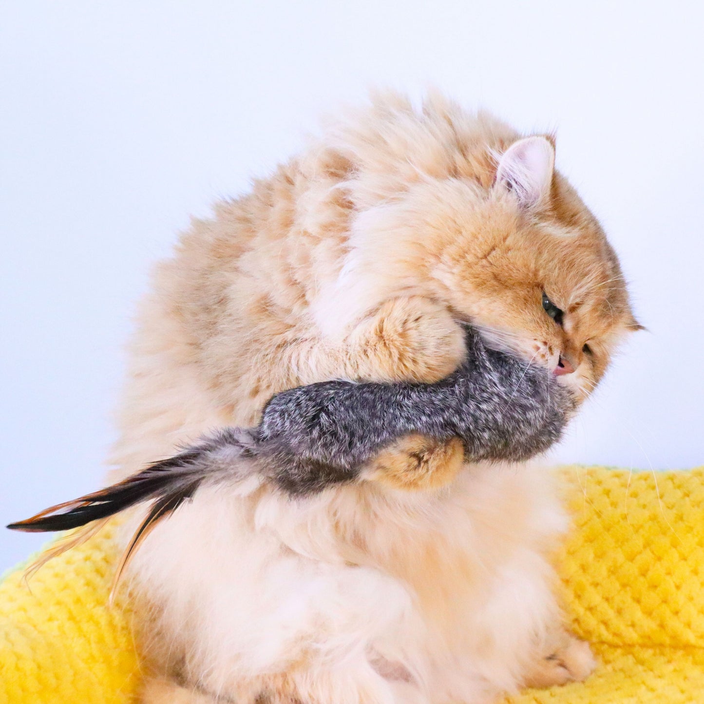 Rabbit Fur Cat Kicker Toys - With Natural Pheasant Feathers