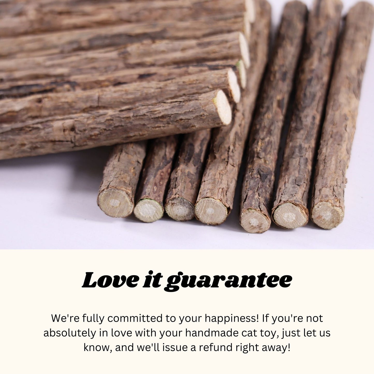 Matatabi Silvervine Katzenkausticks