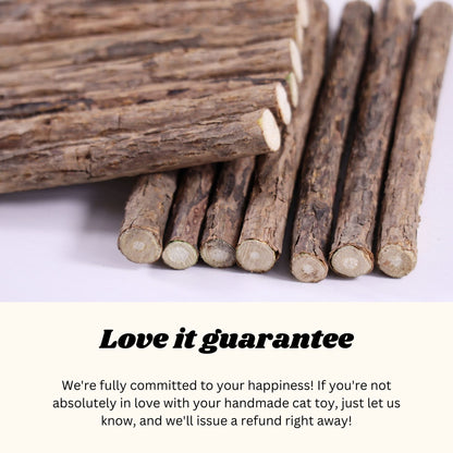 Matatabi Silvervine Katzenkausticks