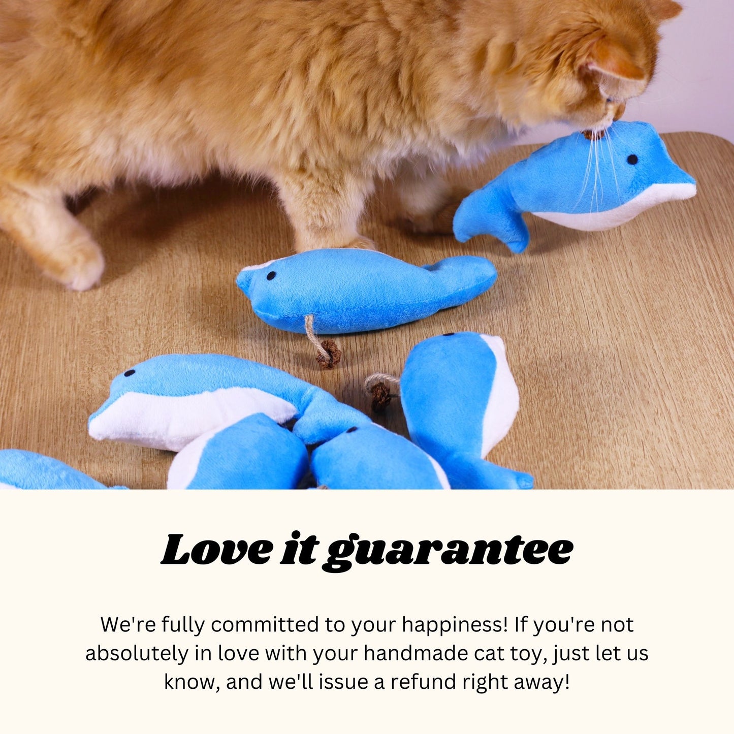 Dolphin Catnip Kicker