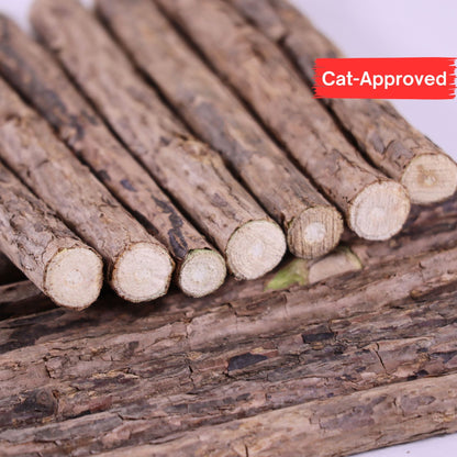 Matatabi Silvervine Katzenkausticks