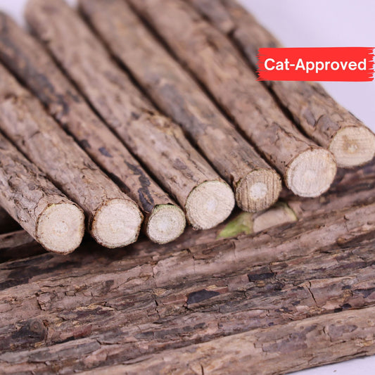 Matatabi Silvervine Katzenkausticks