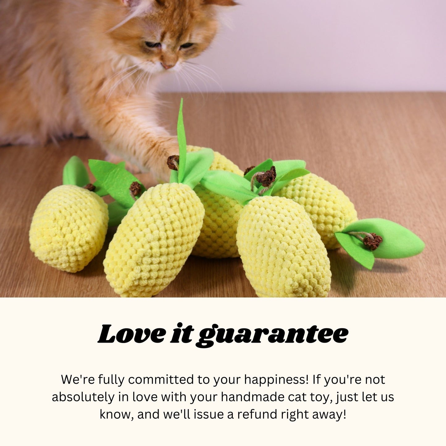 Ananas-Knister-Kicker