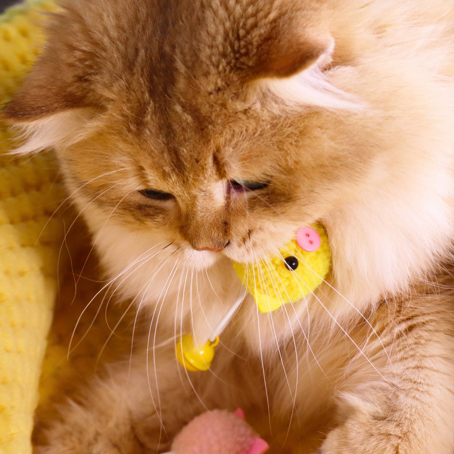 Catnip & Silvervine Infused Plush Piggy Cat Toys – Fun and Playful Sensory Fun!