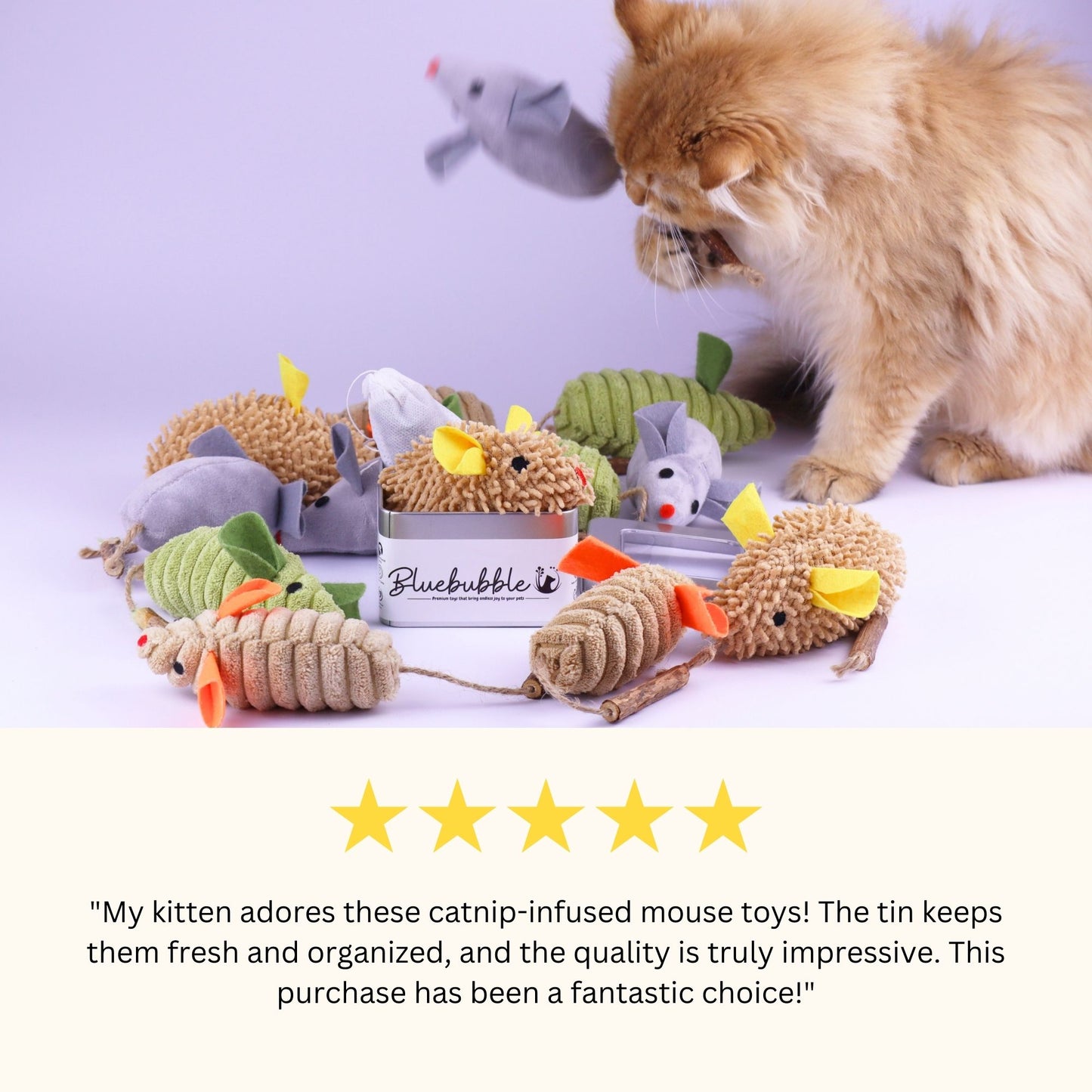 Grand coffret de souris à l'herbe à chat