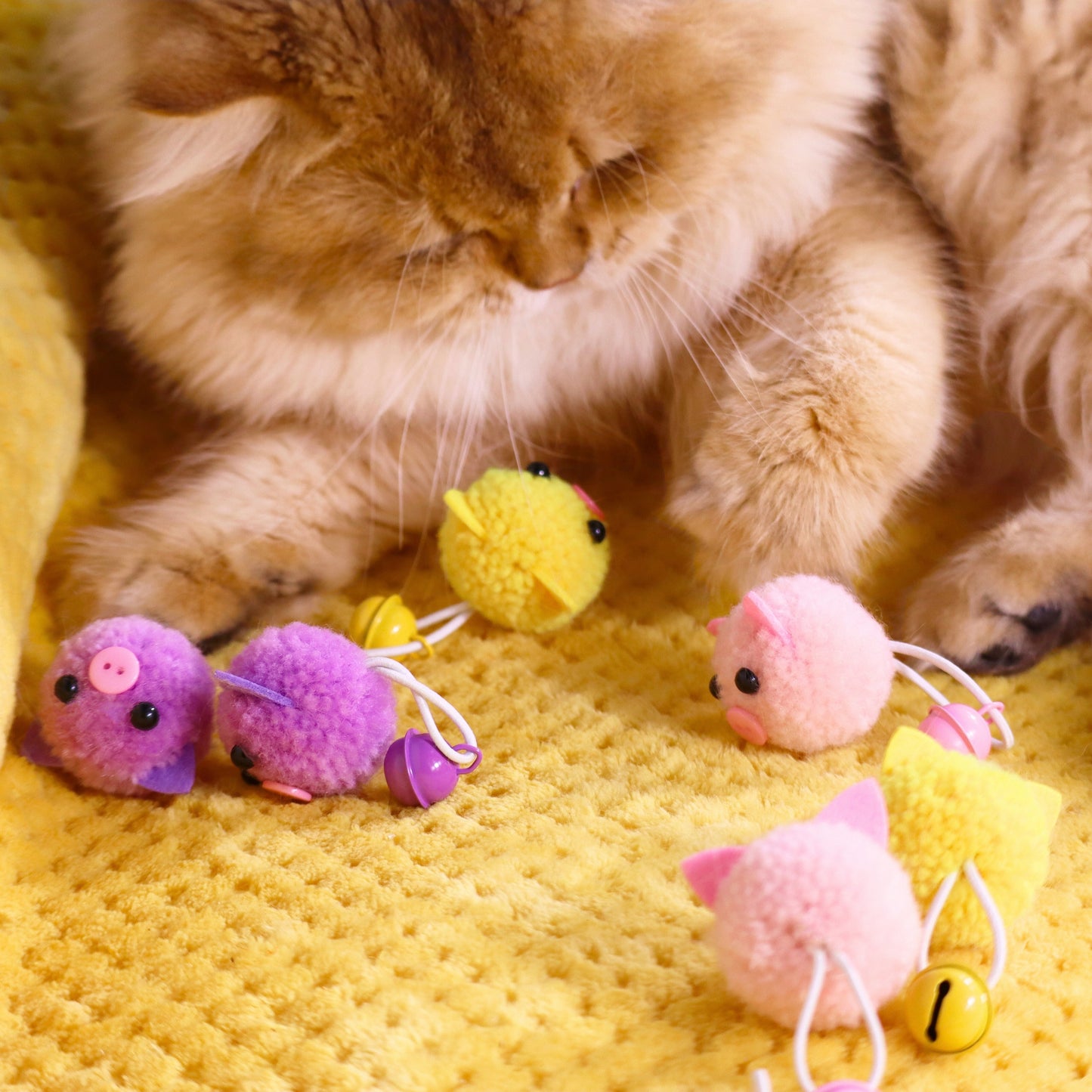 Catnip & Silvervine Infused Plush Piggy Cat Toys – Fun and Playful Sensory Fun!