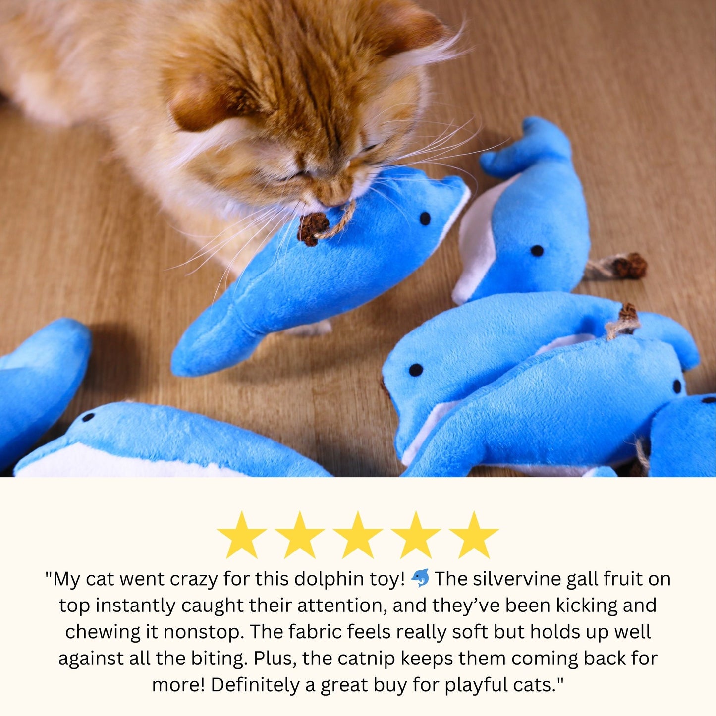 Dolphin Catnip Kicker