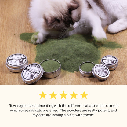 Silvervine & Catnip Variety Powder Pack