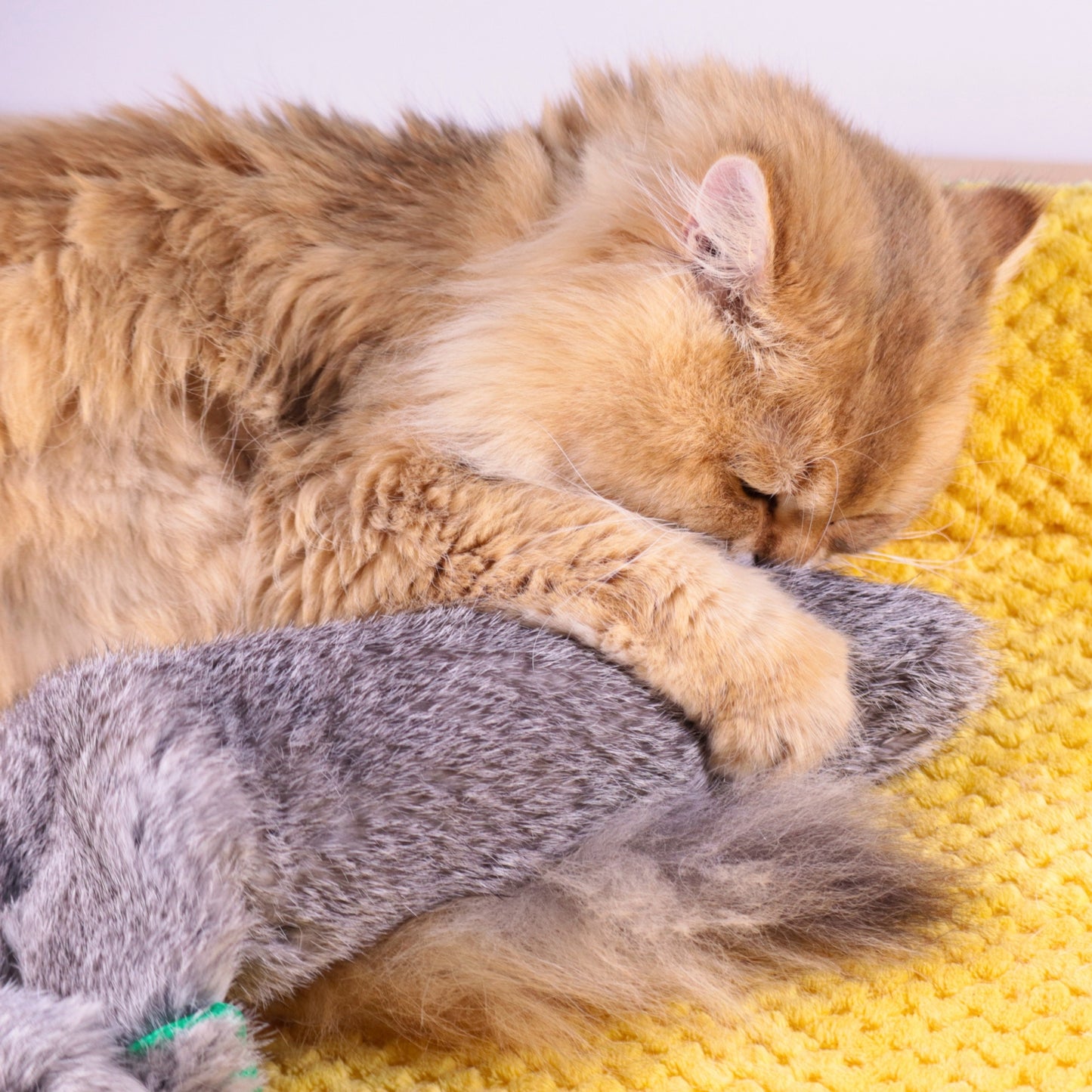 Jumbo Rabbit Fur Kicker Toy Set