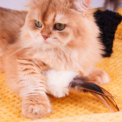 Sheepskin Wool Cat Kicker Toys - With Natural Pheasant Feathers