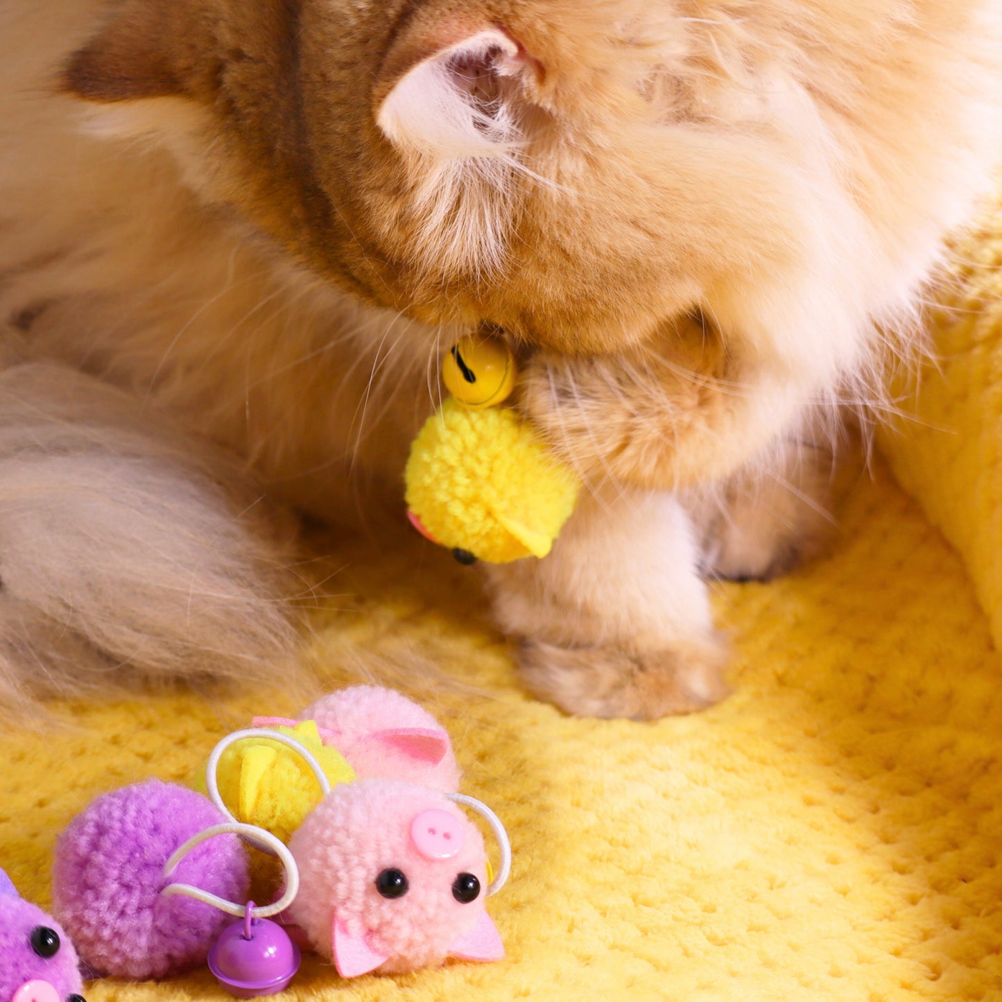 Catnip & Silvervine Infused Plush Piggy Cat Toys – Fun and Playful Sensory Fun!