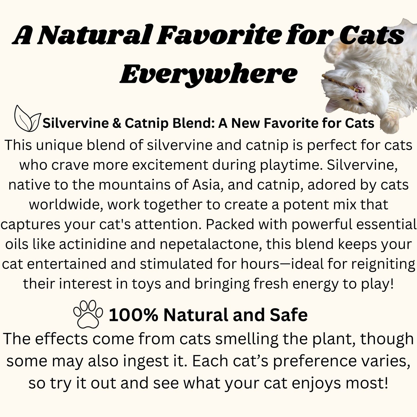 Fun Mix Katzenpulver