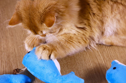 Dolphin Catnip Kicker