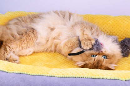 Rabbit Fur Mouse Cat Toys – Realistic Prey-Inspired Kicker