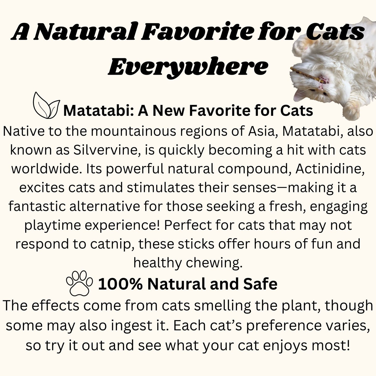 Matatabi Silvervine Katzenkausticks