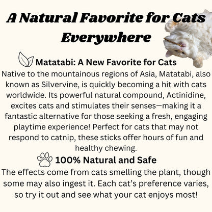 Matatabi Silvervine Katzenkausticks