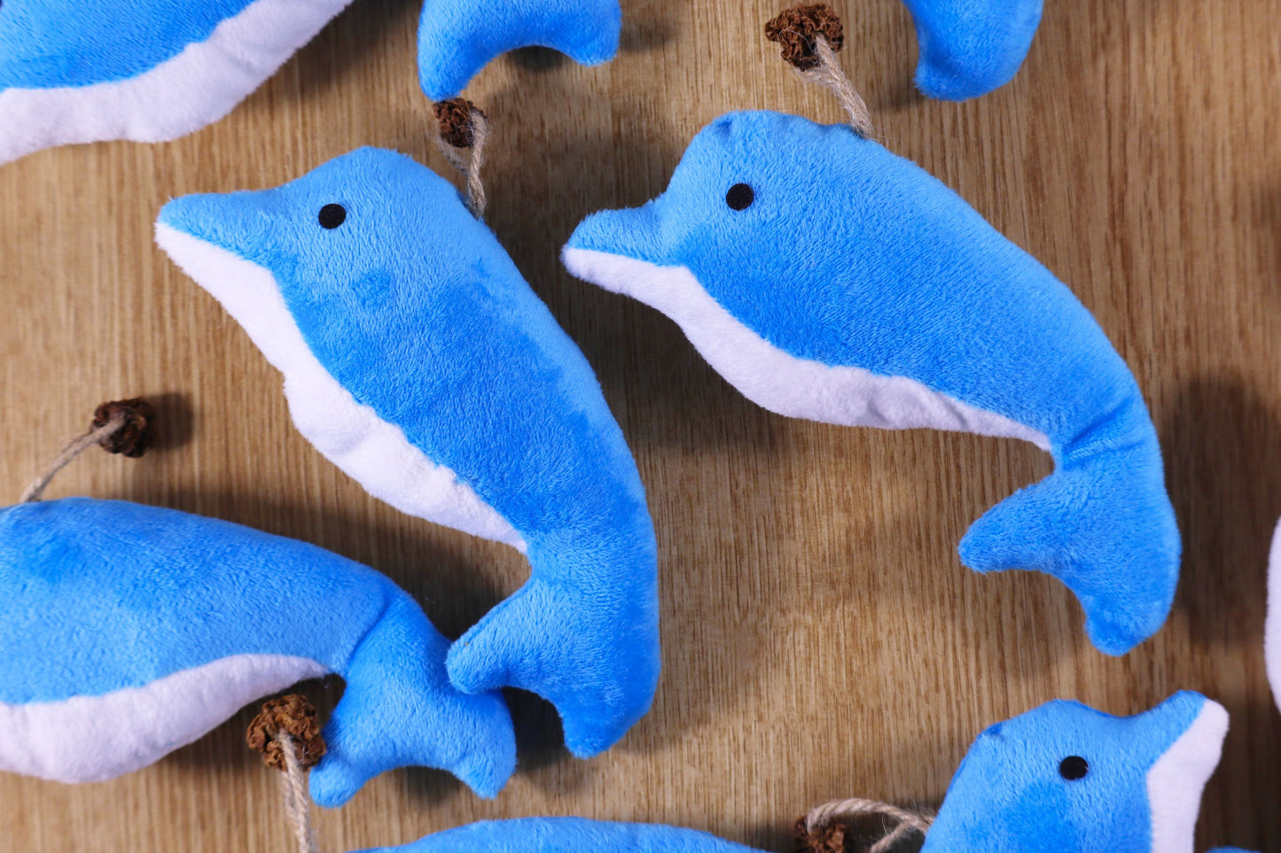 Dolphin Catnip Kicker