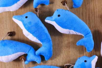 Dolphin Catnip Kicker