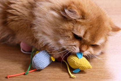 Catnip Mice Toy Set