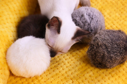 Rabbit Fur Cat Kicker Toy Balls: Natural Triple Attraction with Catnip & Silvervine Fruit