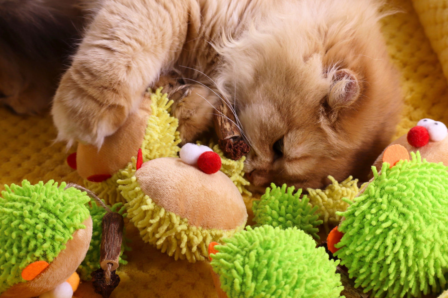 Forest Pals Crinkle Kicker Dosenset