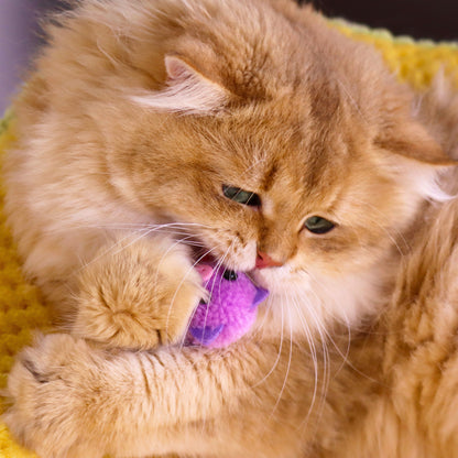 Catnip & Silvervine Infused Plush Piggy Cat Toys – Fun and Playful Sensory Fun!