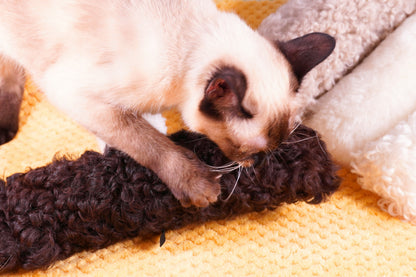 Jumbo Sheepskin Wool Kicker Toy Set