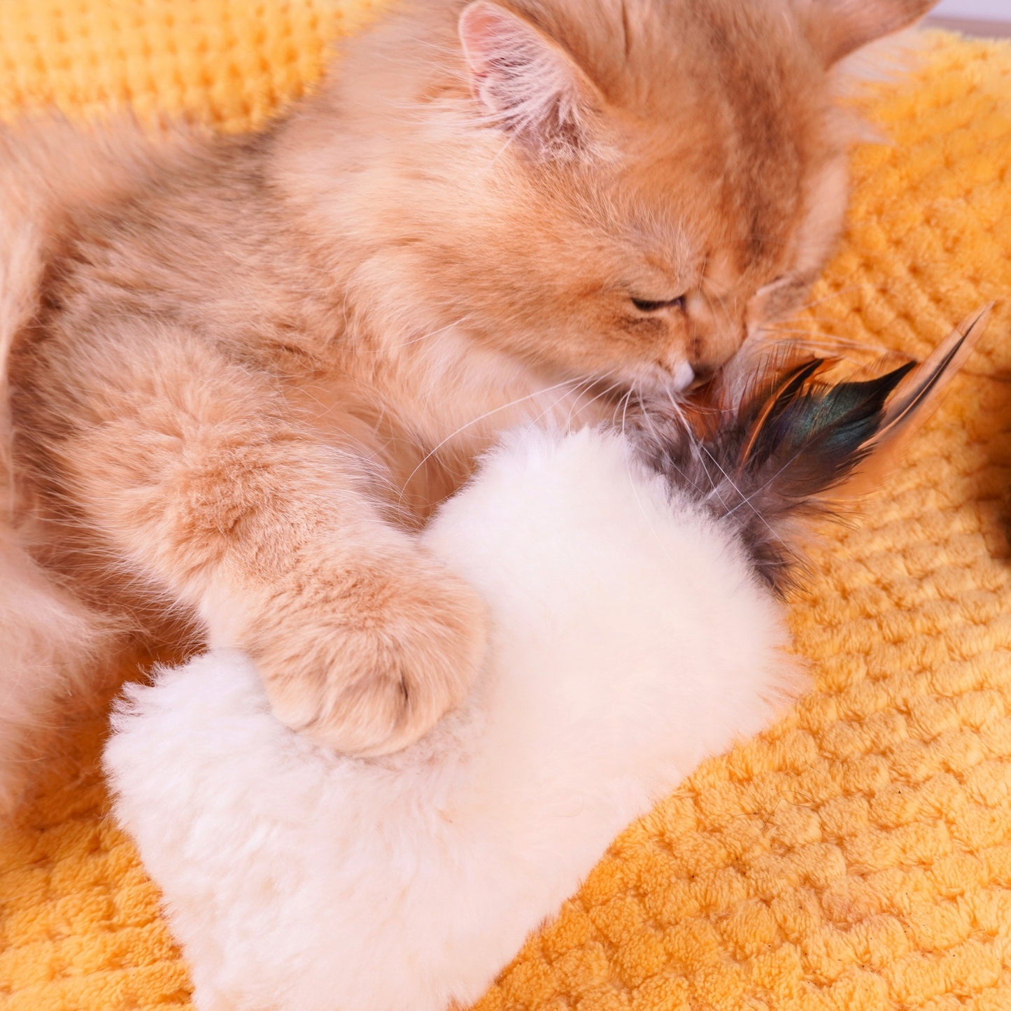 Sheepskin Wool Cat Kicker Toys - With Natural Pheasant Feathers