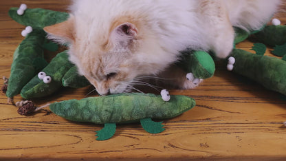 Grüner Krokodil-Katzenminzen-Kicker