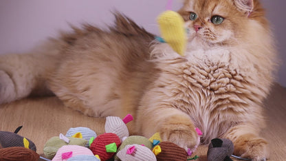 Catnip Mice Toy Set