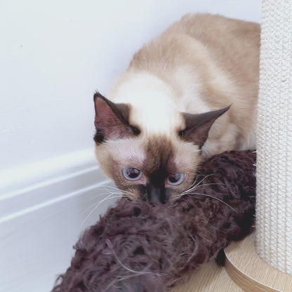 Jumbo Sheepskin Wool Kicker Toy Set