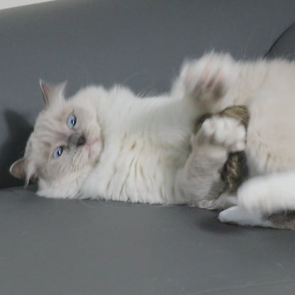 Rabbit Fur Cat Kicker Toy Balls: Natural Triple Attraction with Catnip & Silvervine Fruit