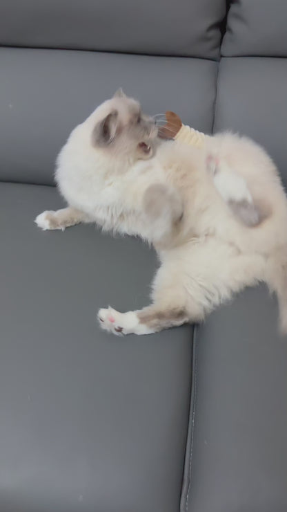 Katzenspielzeug Fisch Cuddle Kicker